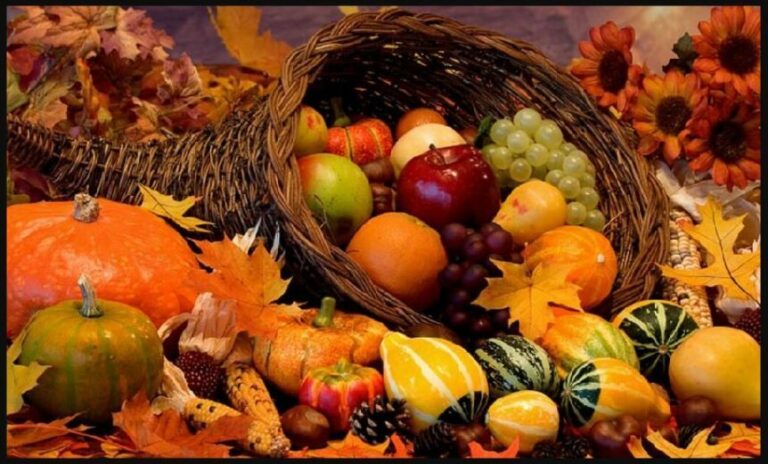 saveur automne 2023